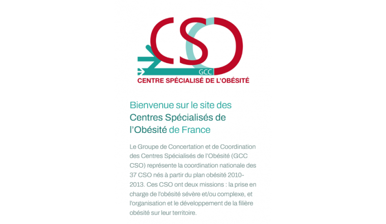 Groupe de Concertation et de Coordination des Centres Spécialisés de l’Obésité (GCC CSO)